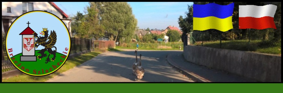Banner Główny 4