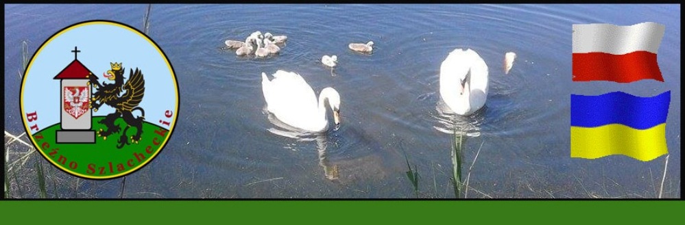 Banner Główny 2