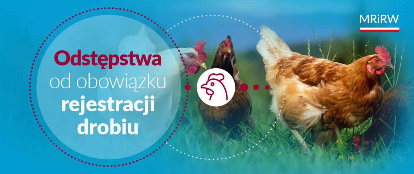 Utrzymywanie drobiu na własne potrzeby – warunki zwolnienia z rejestracji