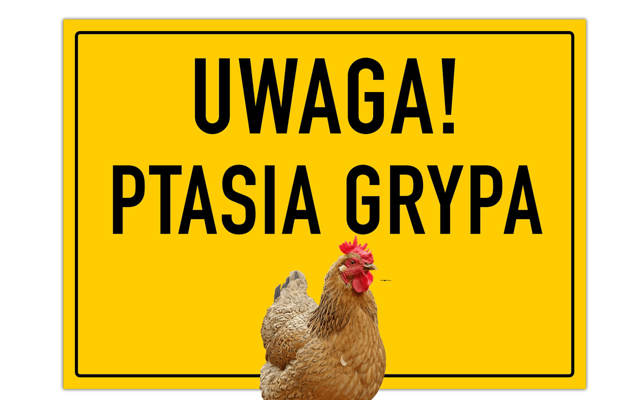 ptasia grypa