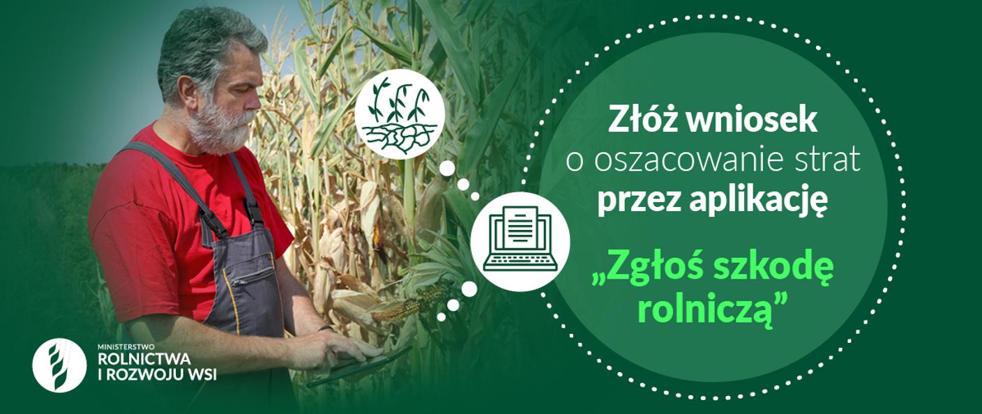 Składanie wniosków o szacowanie strat spowodowanych przez suszę 2023
