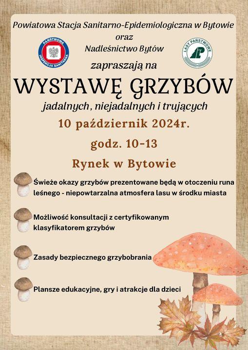 wystawa grzybów