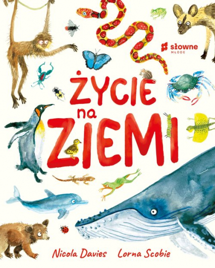 życie na ziemi