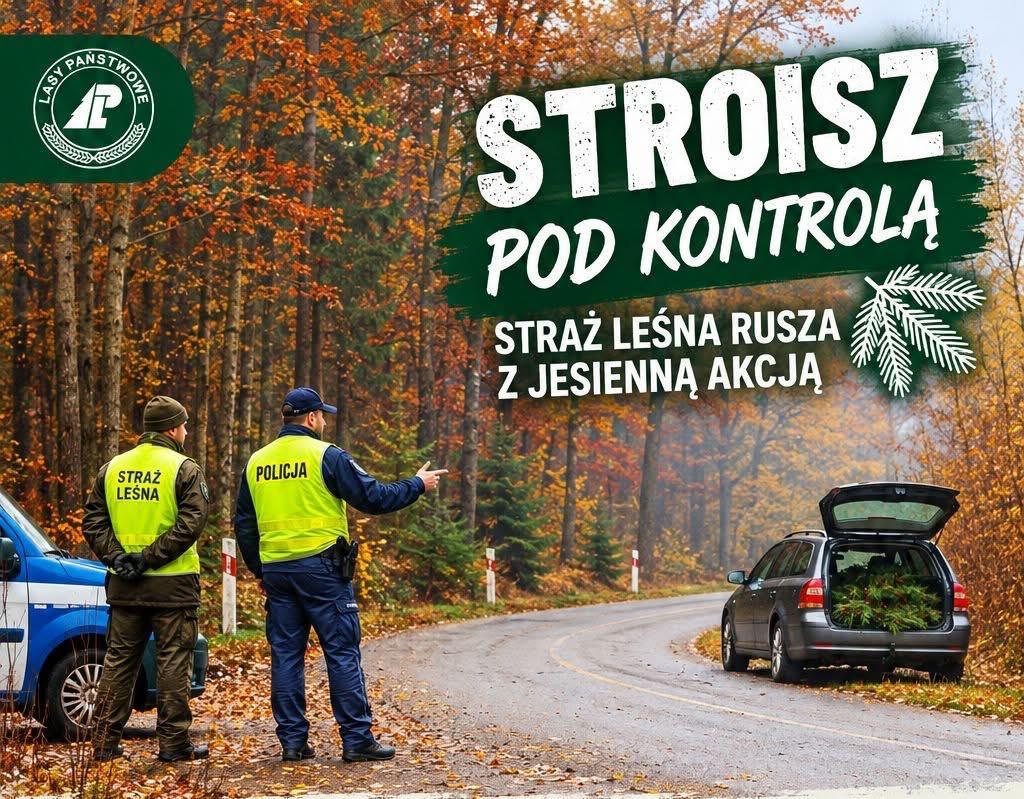Stroisz pod Kontrolą logo